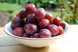 plum, bowl, fruit-2427588.jpg